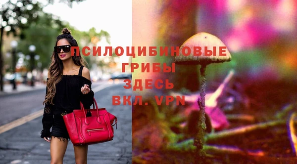 индика Красноперекопск
