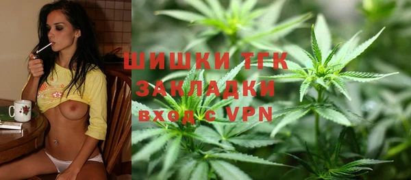 индика Красноперекопск