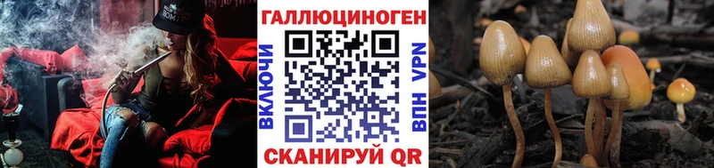 Галлюциногенные грибы Magic Shrooms  OMG как войти  дарк нет наркотические препараты  Ясный 